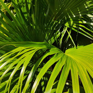 久久99中文字幕伊人
